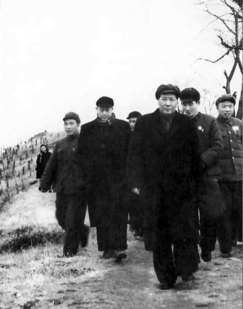 老照片：1953年，毛泽东在李先念（左二）等陪同下视察湖北农村